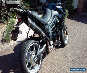 Motorcycle Triumph Tiger 1050       ( Price Drop ) for Sale