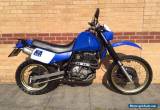 1990 SUZUKI  DR600 blue 12months MOT trail enduro  for Sale