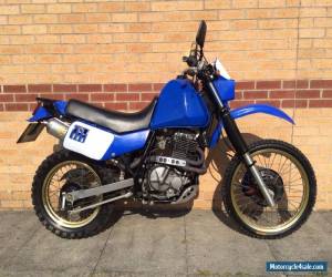 Motorcycle 1990 SUZUKI  DR600 blue 12months MOT trail enduro  for Sale