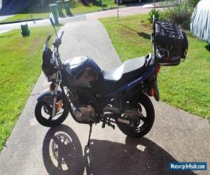 Motorcycle Suzuki GS 500 / F for Sale