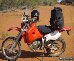 Motorcycle Honda XR650R Motorcycle (Awesome machine - will not disappoint) for Sale