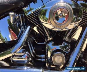 Motorcycle 2007 Harley-Davidson Softail for Sale