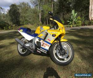 Motorcycle Honda CBR250R Comes with RWC not cbr250rr for Sale