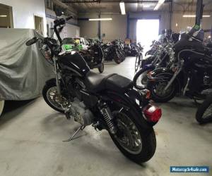 Motorcycle 2003 Harley-Davidson Sportster for Sale