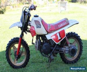 Motorcycle Yamaha PW50 Peewee 50 Motorbike Dirt Bike Helment for Sale