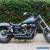 Harley Davidson Dyna  Wide Glide for Sale