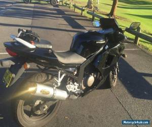 Motorcycle Hyosung GT250R Learner Approved Motorbike - REASONABLE PRICE 9 months rego for Sale
