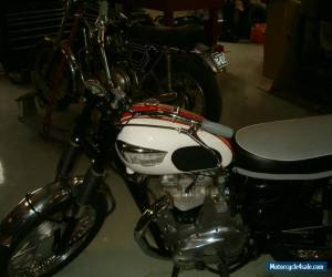 Motorcycle 1966 Triumph  T120TT for Sale