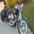 2000 Harley-Davidson Softail for Sale