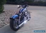 2006 Harley-Davidson Sportster for Sale