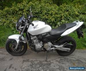 Motorcycle 2003 53 honda cb 600 f hornet  for Sale