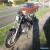 harley davidson sportster 1200 custom low k's for Sale