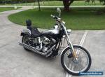 2001 Harley-Davidson Softail for Sale