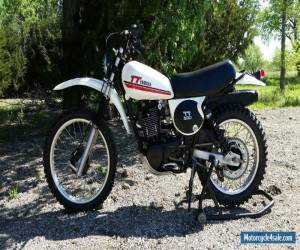 Motorcycle 1981 Yamaha TT for Sale