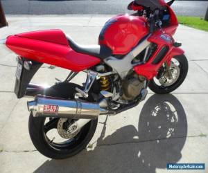 Motorcycle VTR1000 Firestorm for Sale