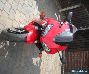 Motorcycle HONDA CBR 600 RR-3 RED !!4913 MILES!! FULL MOT HPI CLEAR CLEAN BIKE!! for Sale