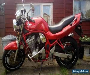 Motorcycle SUZUKI BANDIT 600 GSF for Sale