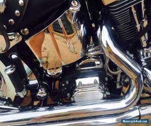 Motorcycle 1994 Harley-Davidson Softail for Sale