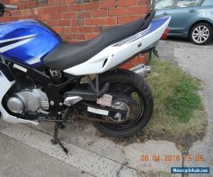 Motorcycle SUZUKI GS500F 2007 MODEL RUNS AND RIDES GREAT LAMS LEARNER APPROVED  for Sale