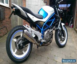 Motorcycle Suzuki SFV650 SV650 Gladius VERY GOOD COND MANY Extra's ATTENTION GRABBER SV 650 for Sale