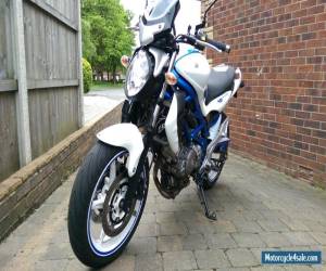 Motorcycle Suzuki SFV650 SV650 Gladius VERY GOOD COND MANY Extra's ATTENTION GRABBER SV 650 for Sale
