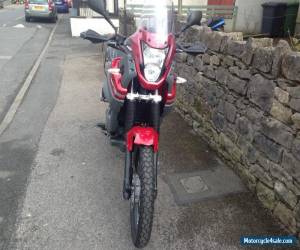 Motorcycle Yamaha XT660Z Tenere 2010 Red, 6400 miles VGC (Cumbria) for Sale