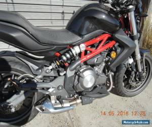 Motorcycle BENELLI BN302 2015 MODEL LAMS APPROVED LOW KMS LIKE NEW CHEAP NINJA 300 CBR  for Sale