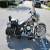 1998 Harley-Davidson Softail for Sale