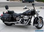 2002 Harley-Davidson Softail for Sale