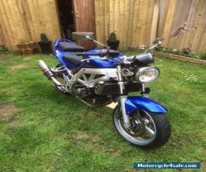 Motorcycle Suzuki Sv650 Naked 2005 for Sale