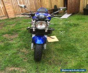 Motorcycle Suzuki Sv650 Naked 2005 for Sale