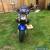 Suzuki Sv650 Naked 2005 for Sale