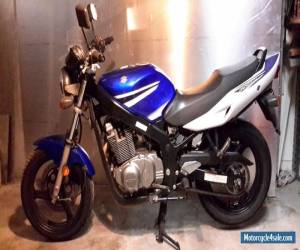 Motorcycle Suzuki gs500 2008 lams for Sale