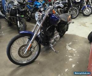 Motorcycle 2007 Harley-Davidson Sportster for Sale