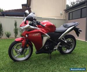 Honda CBR250r for Sale