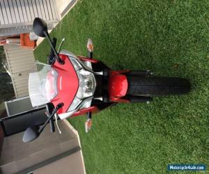 Motorcycle Honda CBR250r for Sale