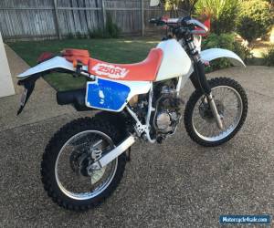 Motorcycle Honda XR250R registered for Sale