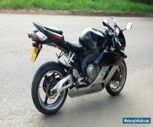 Motorcycle HONDA FIREBLADE CBR1000RR 2005 BLACK for Sale