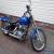 Harley Davidson Softail Standard 2007 for Sale