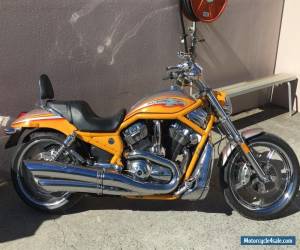 Motorcycle 2006 Harley Davidson CVO VROD Screamin Eagle VRSCSE2 for Sale