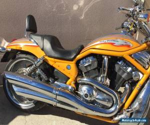 Motorcycle 2006 Harley Davidson CVO VROD Screamin Eagle VRSCSE2 for Sale