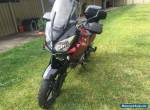 2006 Suzuki V Strom (DL650) for Sale