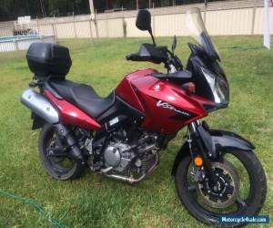 Motorcycle 2006 Suzuki V Strom (DL650) for Sale