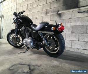 Motorcycle HARLEY DAVIDSON SPORTSTER LOW 2010 MODEL  for Sale