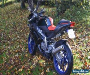 Motorcycle 2006 Aprilia RS for Sale