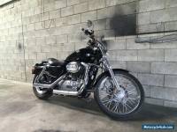 HARLEY DAVIDSON SPORTSTER CUSTOM  2004 MODEL