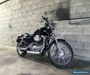 HARLEY DAVIDSON SPORTSTER CUSTOM  2004 MODEL for Sale