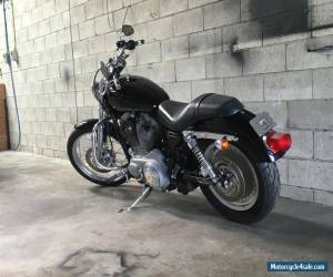 Motorcycle HARLEY DAVIDSON SPORTSTER CUSTOM  2004 MODEL for Sale