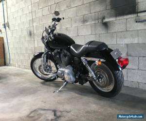 Motorcycle HARLEY DAVIDSON SPORTSTER CUSTOM  2004 MODEL for Sale