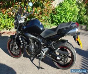 Motorcycle Yamaha FZ 600 Fazer low mileage for Sale